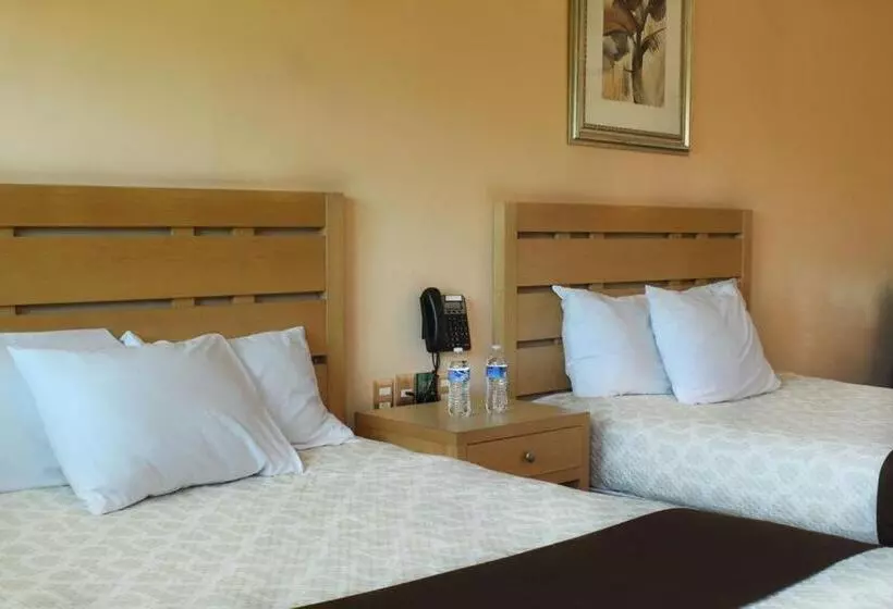 ホテル Navola Inn