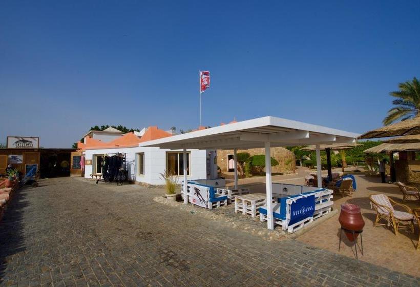 Hotelli Orca Village Safaga