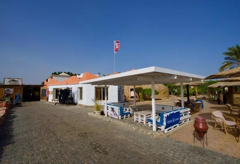 هتل Orca Village Safaga