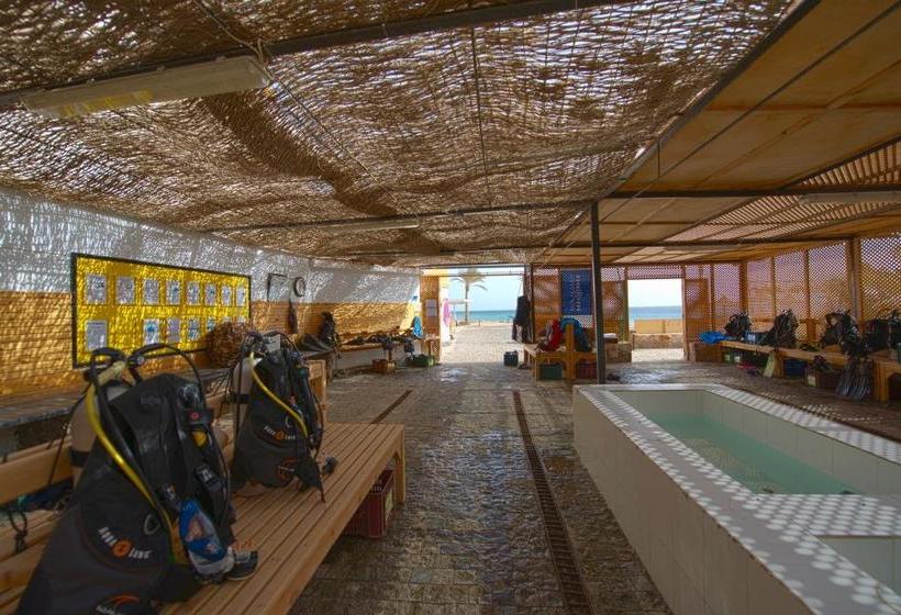 Hotelli Orca Village Safaga