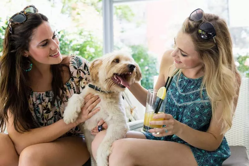 Olimpia Hotel & Apart