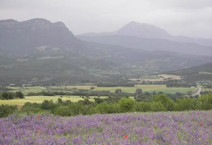 Antigua Casa Catones