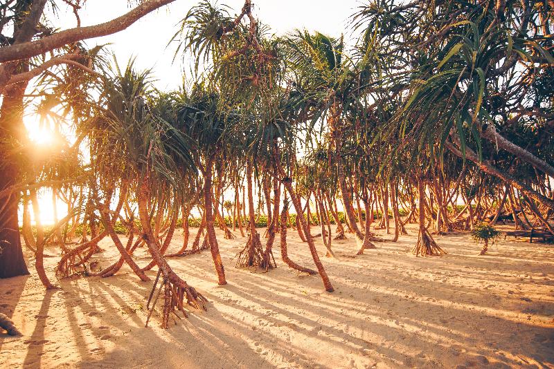 Baba Beach Club Natai Luxury Pool Villa Hotel By Sri Panwa   Sha Plus