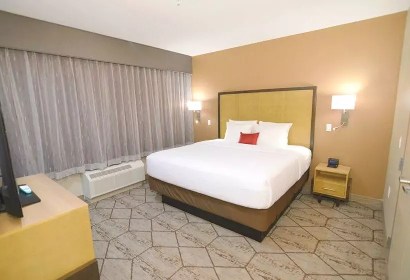 ホテル Best Western Executive Residency Ih37 Corpus Christi