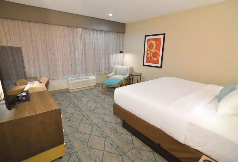 ホテル Best Western Executive Residency Ih37 Corpus Christi