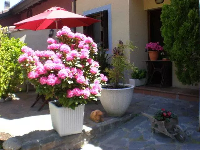 ホテル Casa Merche