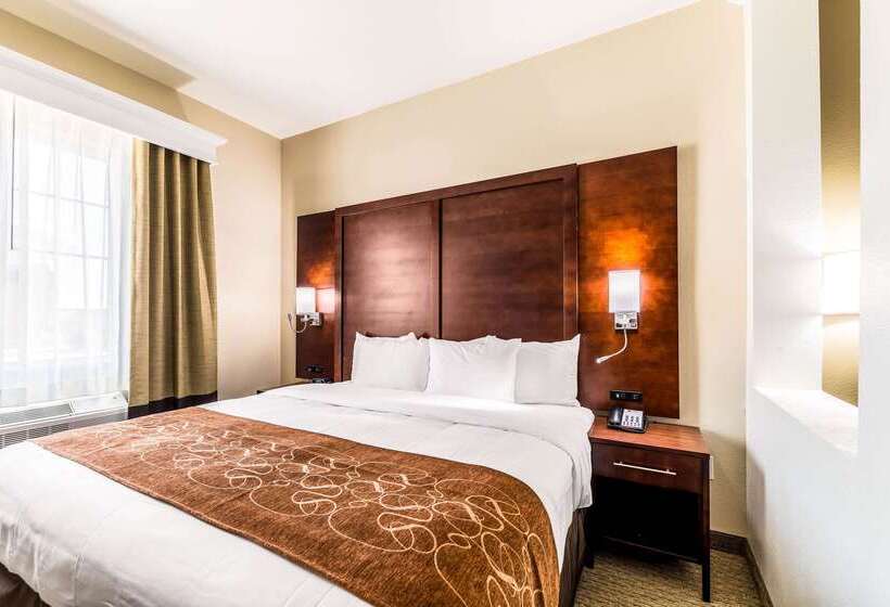 בית מלון כפרי Comfort Suites Grand Prairie Arlington North