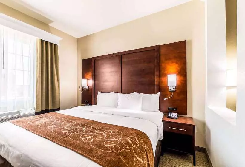 Hotelli Comfort Suites Grand Prairie Arlington North