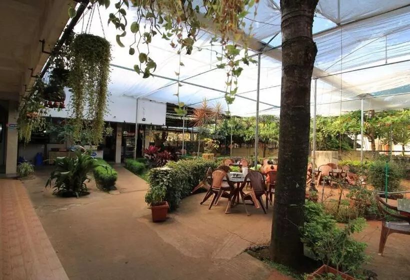 Hotelli Emerald Dove