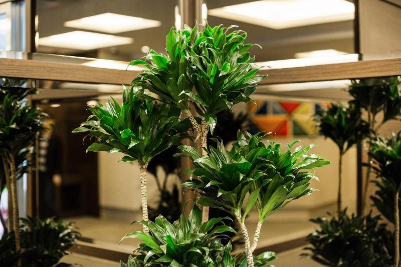 ホテル M S Est Shijo Karasuma