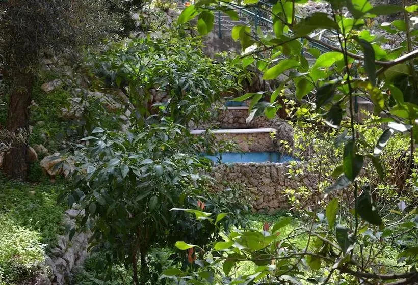 هتل Monteverde