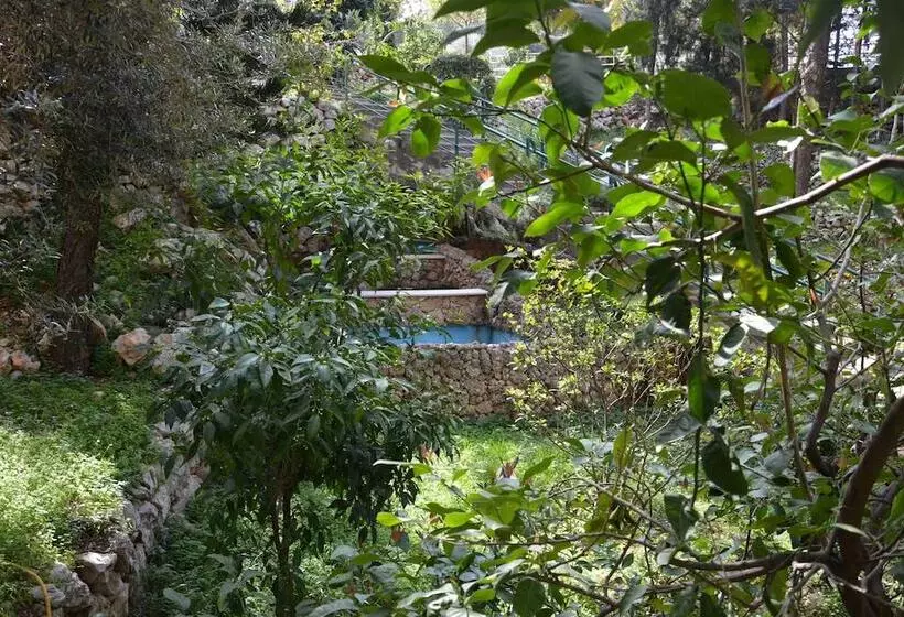 هتل Monteverde