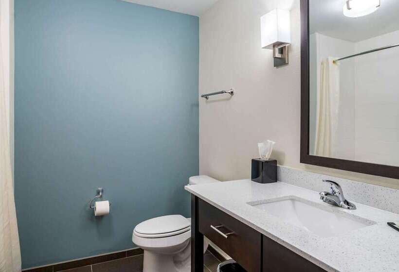 فندق Sleep Inn & Suites Near Westchase