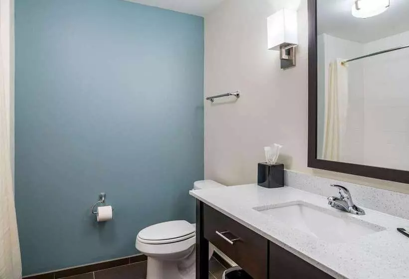 ホテル Sleep Inn & Suites Near Westchase