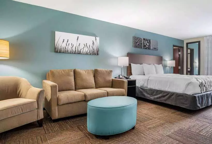 ホテル Sleep Inn & Suites Near Westchase