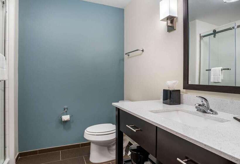 فندق Sleep Inn & Suites Near Westchase