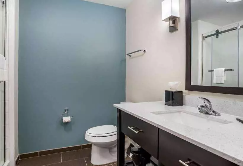 ホテル Sleep Inn & Suites Near Westchase