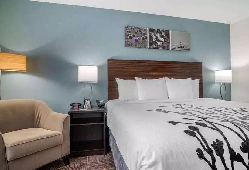 ホテル Sleep Inn & Suites Near Westchase
