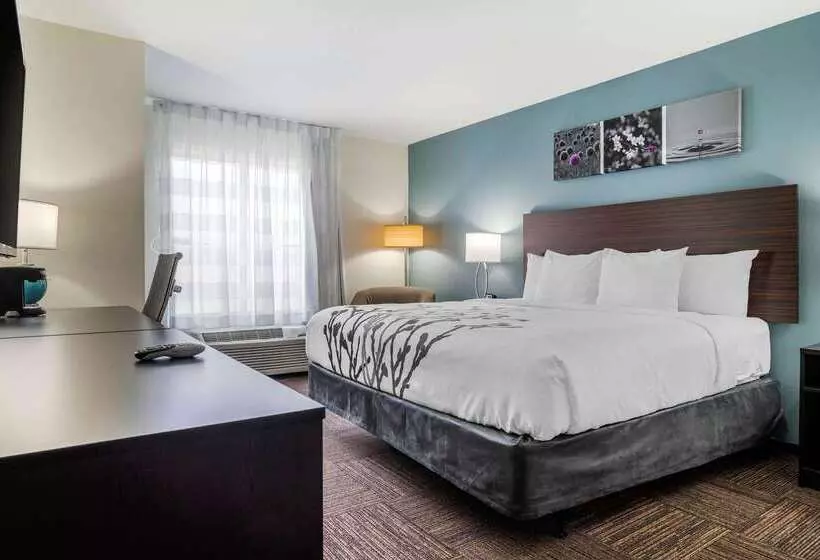 ホテル Sleep Inn & Suites Near Westchase