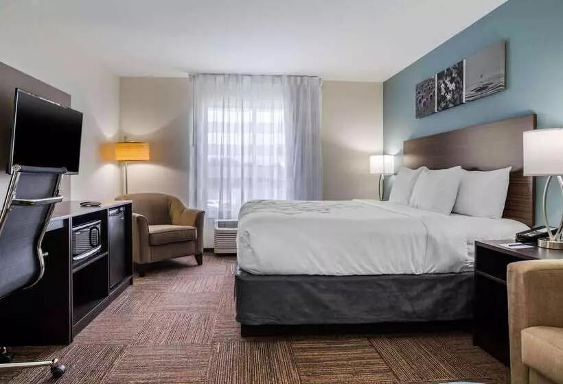 ホテル Sleep Inn & Suites Near Westchase