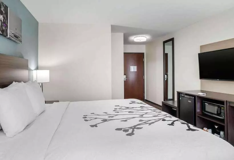 ホテル Sleep Inn & Suites Near Westchase