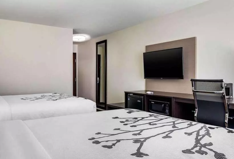 ホテル Sleep Inn & Suites Near Westchase
