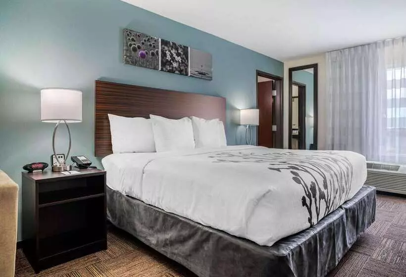 ホテル Sleep Inn & Suites Near Westchase