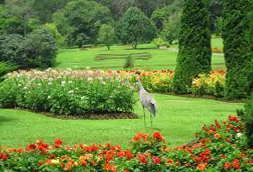 Kandawgyi Hill Resort