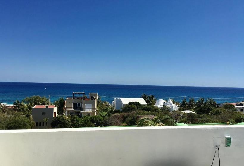 호스텔 Casa Paloma Blanca