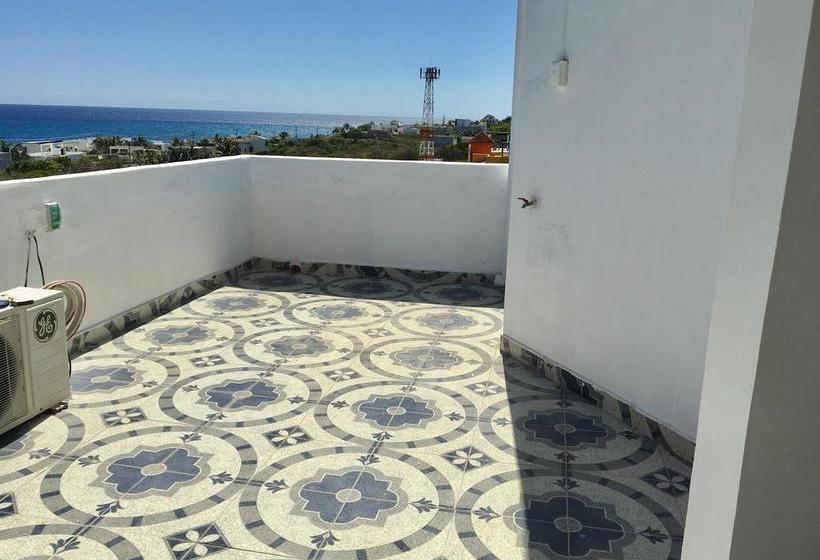 호스텔 Casa Paloma Blanca