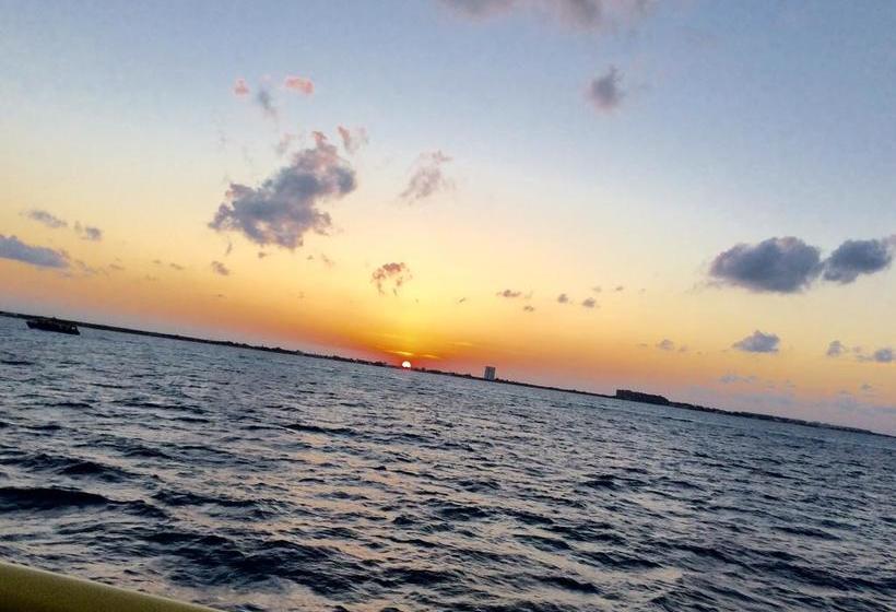 호스텔 Casa Paloma Blanca