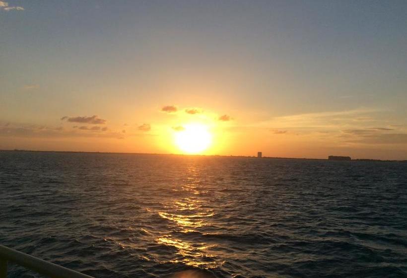 호스텔 Casa Paloma Blanca