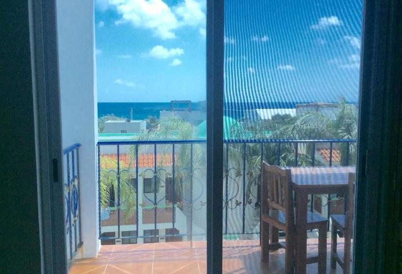 호스텔 Casa Paloma Blanca