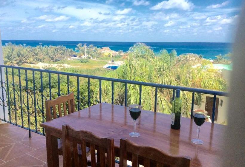 호스텔 Casa Paloma Blanca