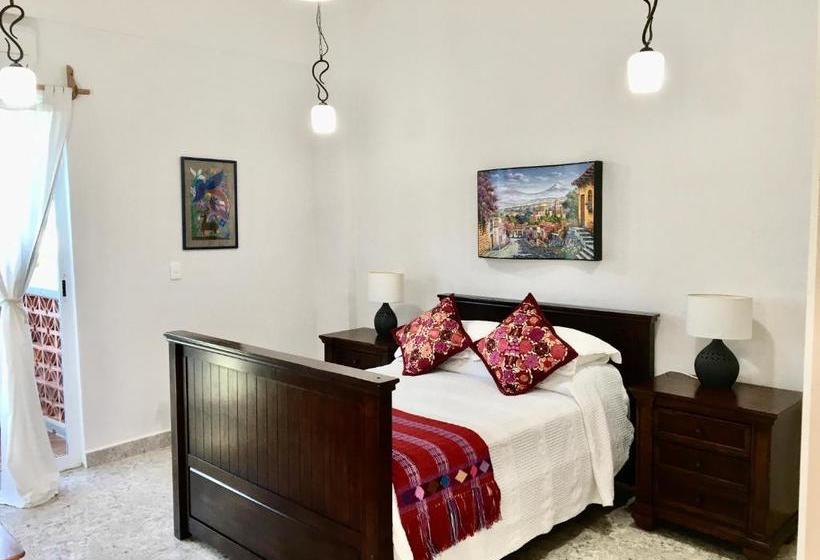 호스텔 Casa Paloma Blanca