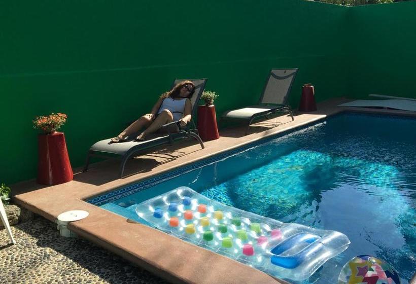 호스텔 Casa Paloma Blanca