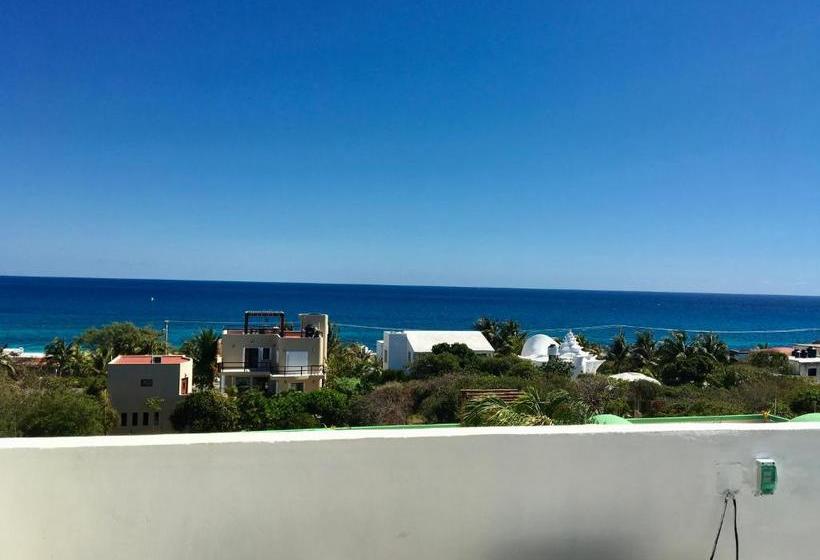 호스텔 Casa Paloma Blanca