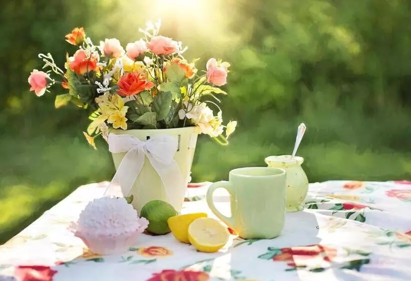 تختخواب و صبحانه Suites Rome