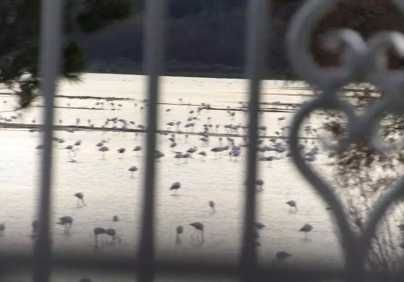 Hospedarte Cazadero Real