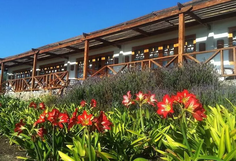 ホテル Hacienda Santa Cristina