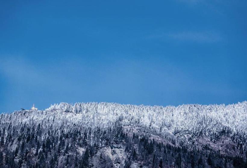 Boutique B&b Maison Bergdorf