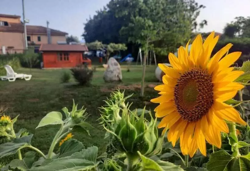 Aamiaismajoitus (B&B) Residence Il Tiglio