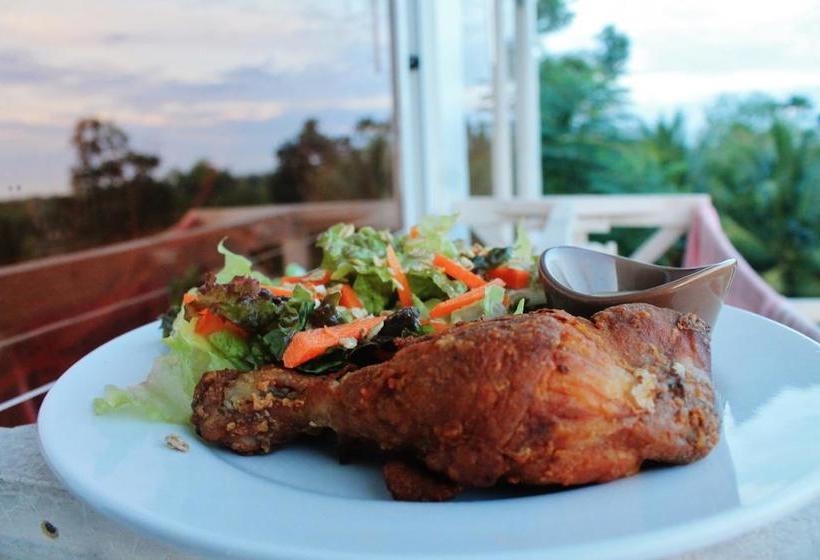 ベッドアンドブレックファースト Vidas Mountain Stay Bohol