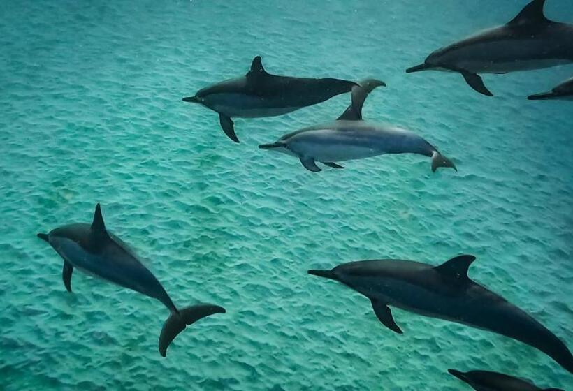 هتل La Mariposa Mauritius