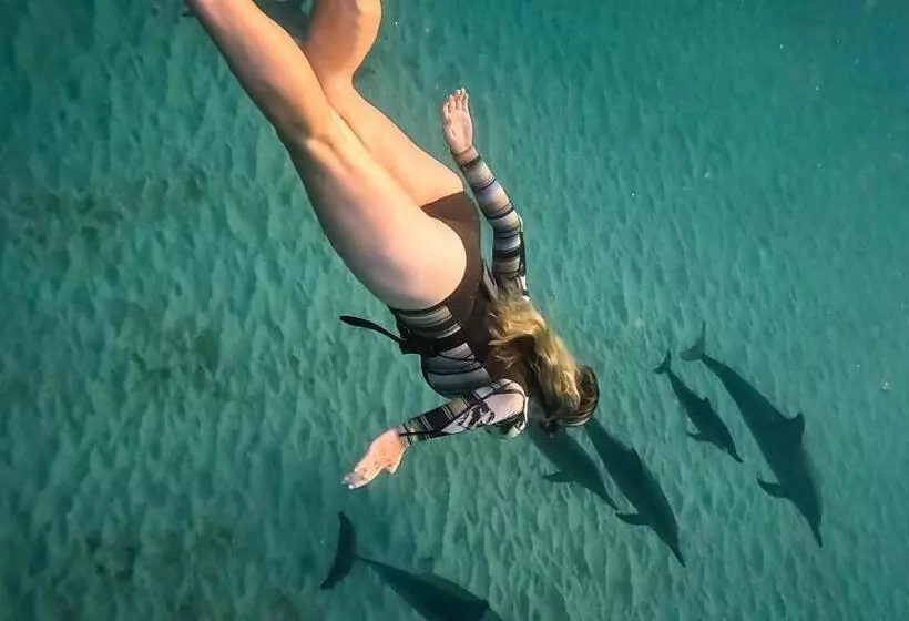 هتل La Mariposa Mauritius