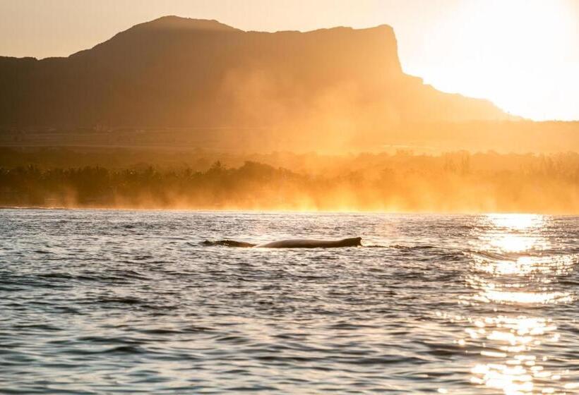 هتل La Mariposa Mauritius