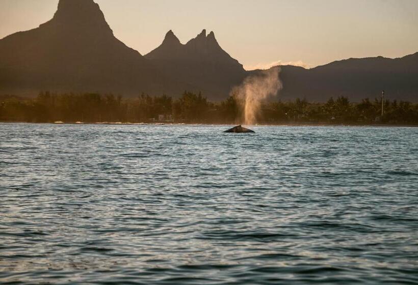 هتل La Mariposa Mauritius