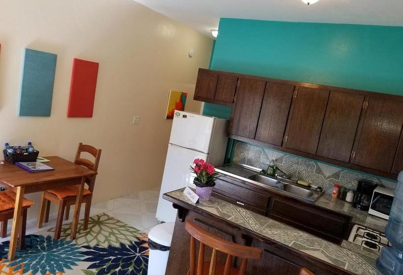 فندق Belize Tropical Dream Villas