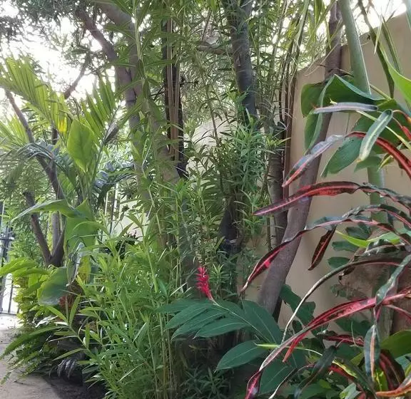 Hotelli Belize Tropical Dream Villas