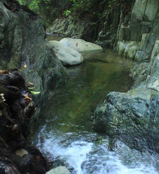 La Natura Hostel & Pool